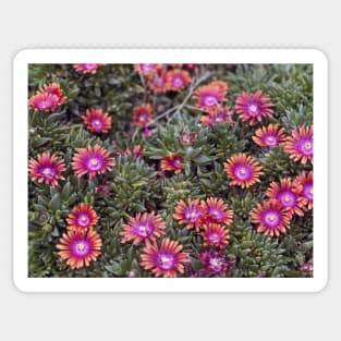 Tiny Flowers Sticker